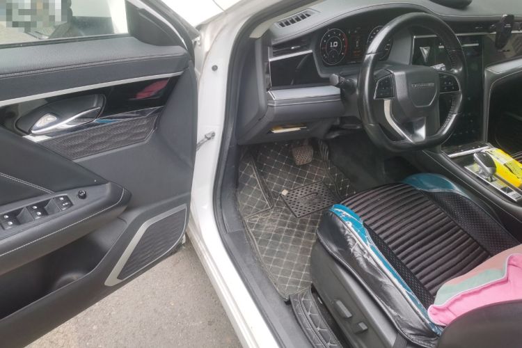 Used Venucia Star 2020 260T Automatic 48V Mild Hybrid Turbocharged Star Edition Driver Seat
