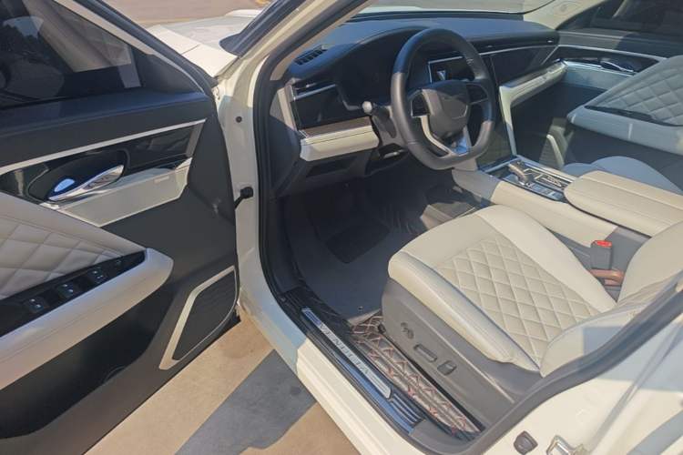 Used Venucia Star 2020 260T Automatic 48V Mild Hybrid Turbocharged Starry Edition Driver Seat