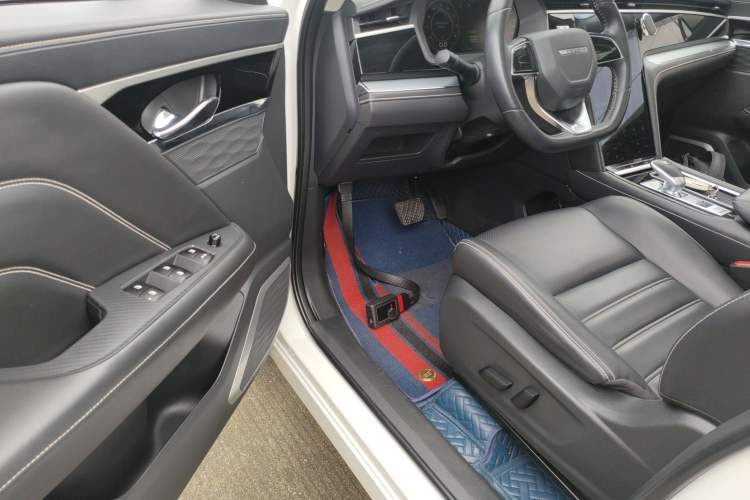 Used Venucia Star 2020 260T Automatic 48V Mild Hybrid Turbocharged Star Edition Driver Seat