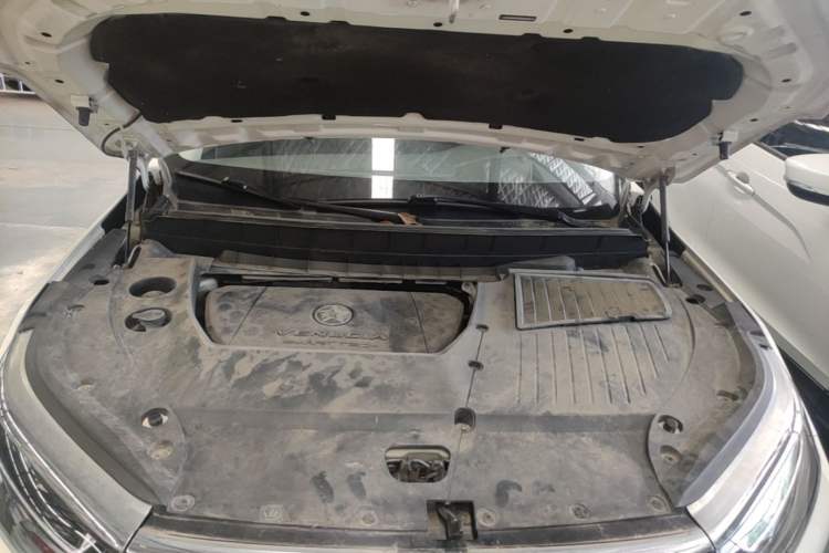 Used Venucia Star 2020 260T Automatic 48V Mild Hybrid Turbocharged Starry Edition Engine Bay