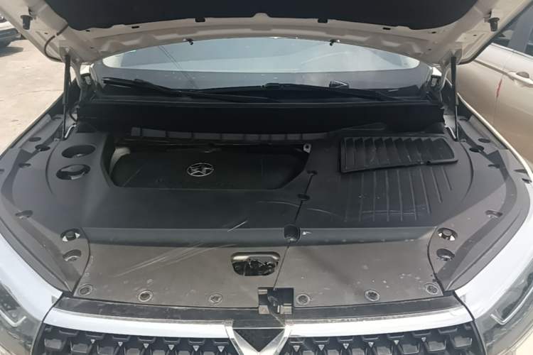 Used Venucia Star 2020 260T Automatic 48V Mild Hybrid Turbocharged Star Edition Engine Bay