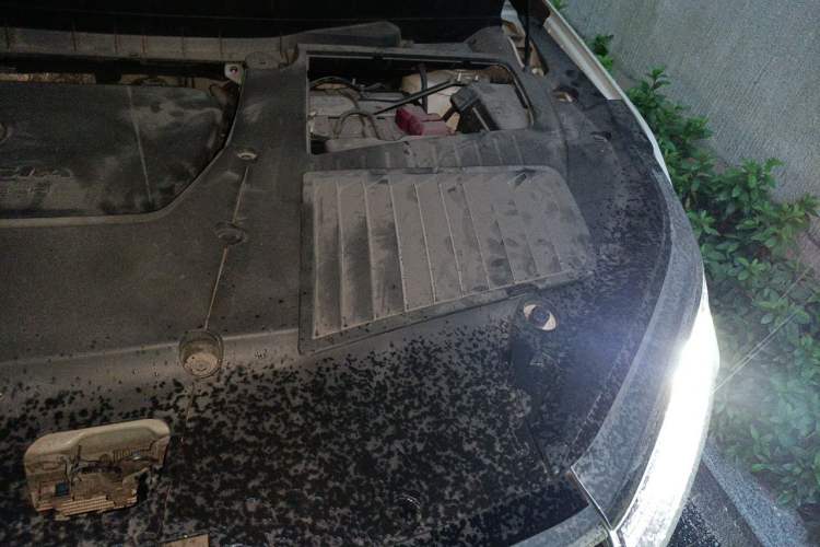 Used Venucia Star 2020 260T Automatic 48V Mild Hybrid Turbocharged Starry Edition Engine Bay Left