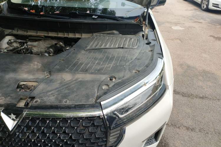Used Venucia Star 2020 260T Automatic 48V Mild Hybrid Turbocharged Starry Edition Engine Bay Left