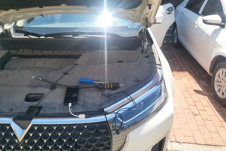 Used Venucia Star 2020 260T Automatic 48V Mild Hybrid Turbocharged Starry Edition Engine Bay Left