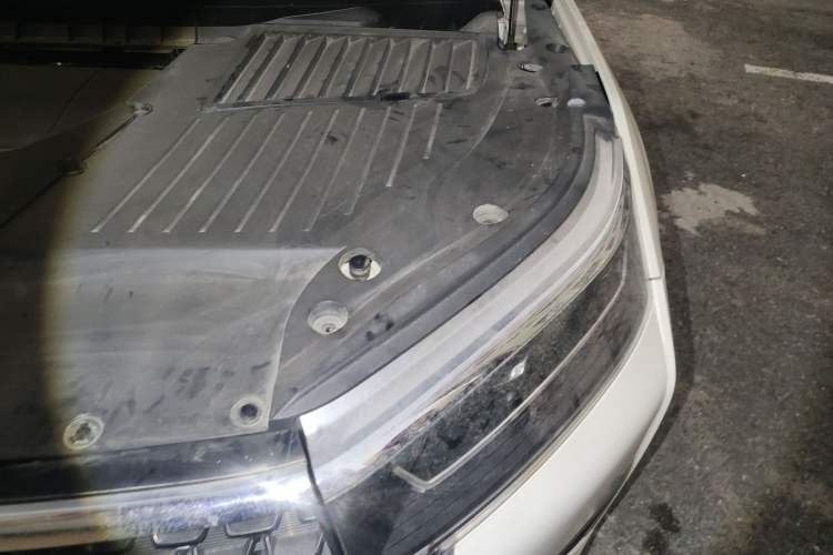 Used Venucia Star 2020 260T Automatic 48V Mild Hybrid Turbocharged Star Edition Engine Bay Left
