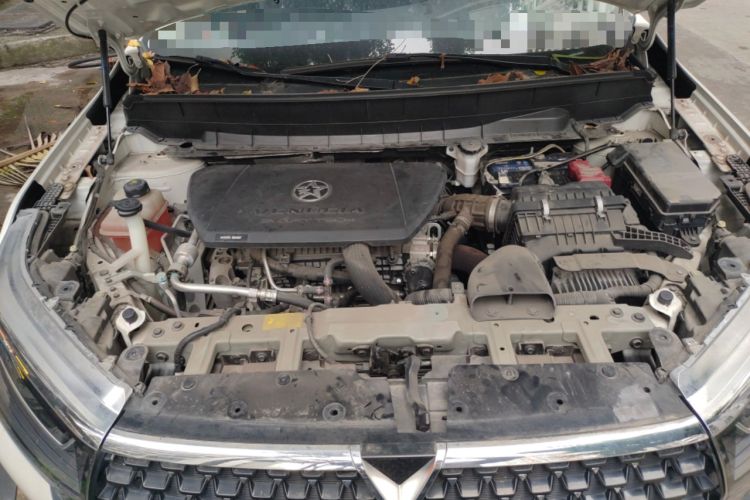 Used Venucia Star 2020 260T Automatic 48V Mild Hybrid Turbocharged Starry Edition Engine Bay