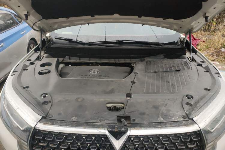 Used Venucia Star 2020 260T Automatic 48V Mild Hybrid Turbocharged Star Edition Engine Bay
