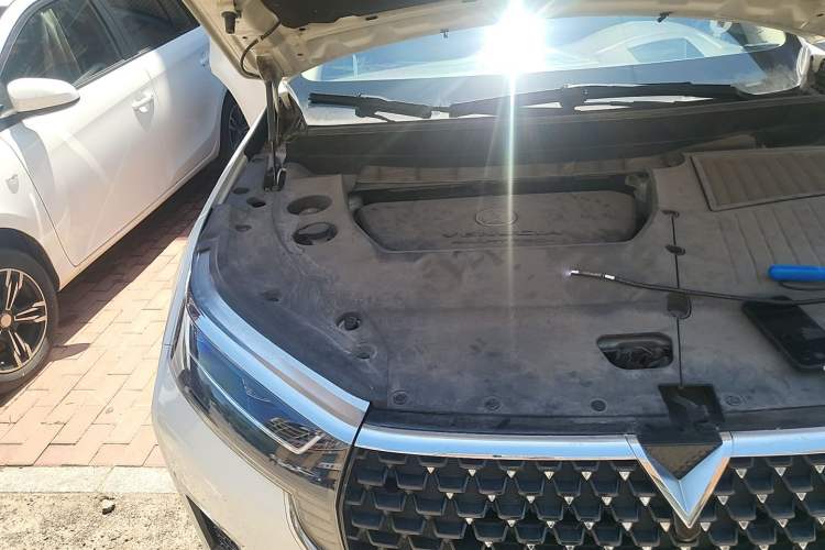 Used Venucia Star 2020 260T Automatic 48V Mild Hybrid Turbocharged Starry Edition Engine Bay Right