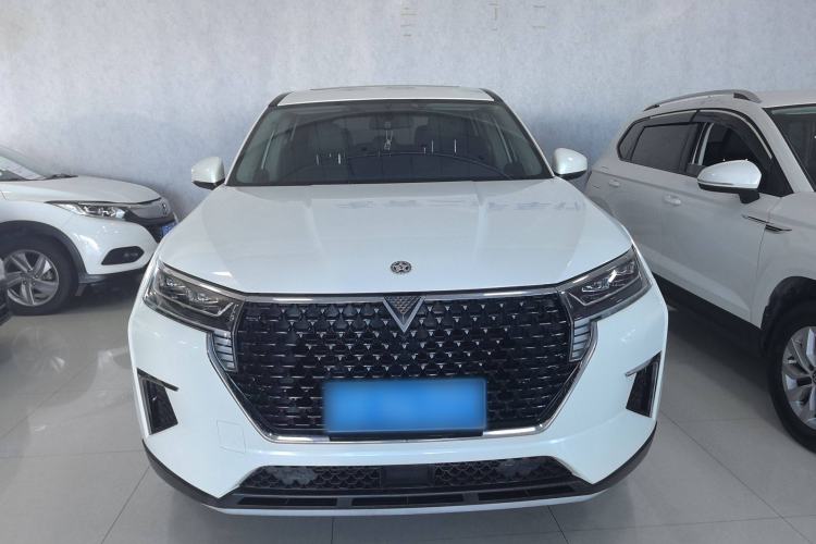 Used Venucia Star 2020 260T Automatic XingShang Edition Exterior 1