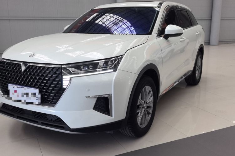 Used Venucia Star 2020 260T Automatic XingShang Edition Exterior 1