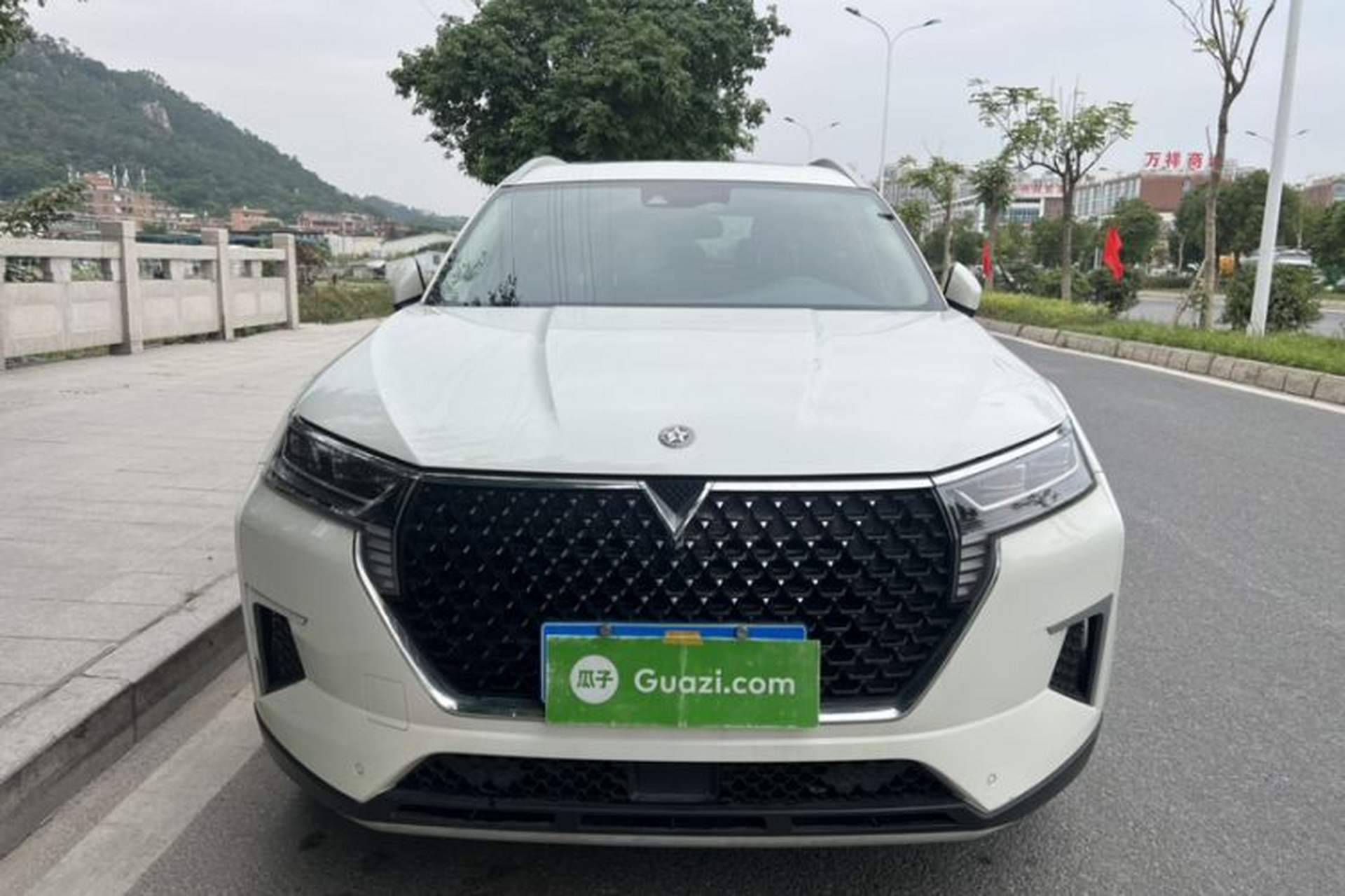 Used Venucia Star 2020 260T Automatic 48V Mild Hybrid Turbocharged Star Edition Exterior 1