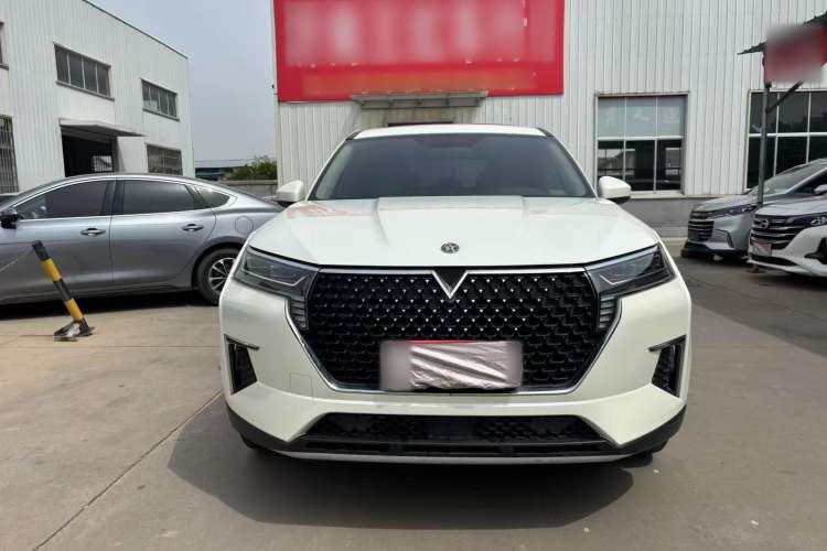 Used Venucia Star 2020 260T Automatic XingShang Edition Exterior 1