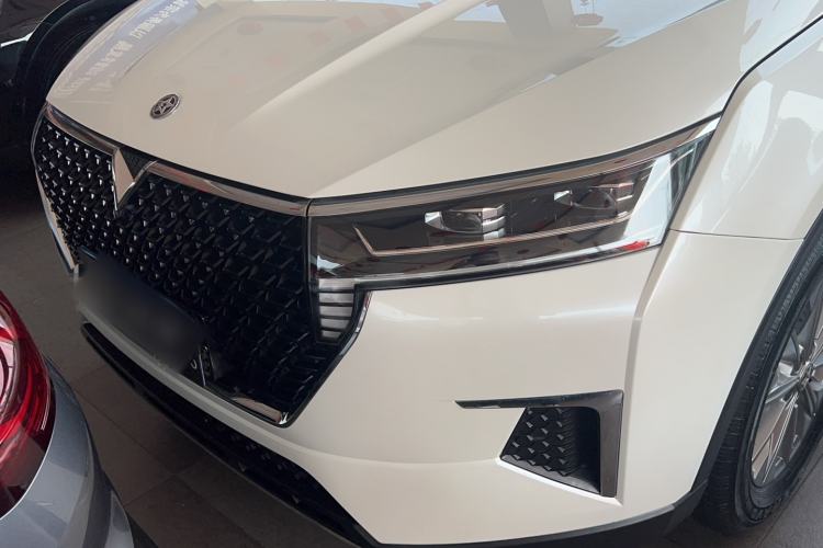 Used Venucia Star 2020 260T Automatic XingShang Edition Exterior 1