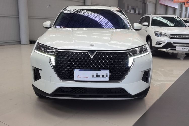 Used Venucia Star 2020 260T Automatic XingShang Edition Exterior 2