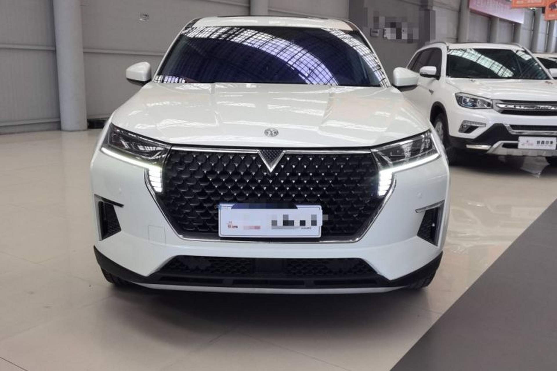 Used Venucia Star 2020 260T Automatic XingShang Edition Exterior 2