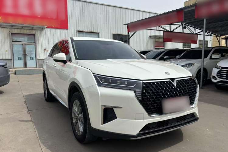 Used Venucia Star 2020 260T Automatic XingShang Edition Exterior 2