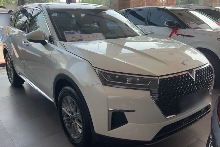 Used Venucia Star 2020 260T Automatic XingShang Edition Exterior 2