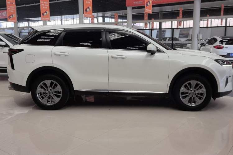 Used Venucia Star 2020 260T Automatic XingShang Edition Exterior 3