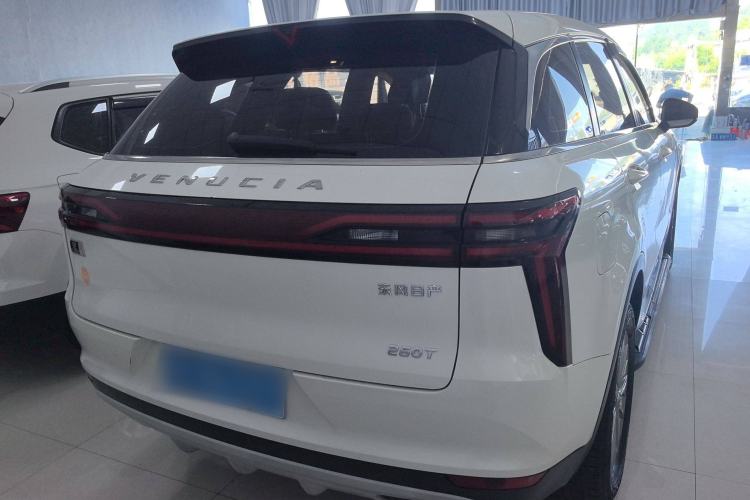 Used Venucia Star 2020 260T Automatic XingShang Edition Exterior 4