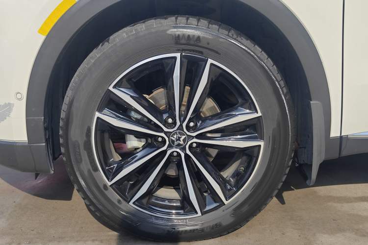 Used Venucia Star 2020 260T Automatic 48V Mild Hybrid Turbocharged Starry Edition Exterior 4