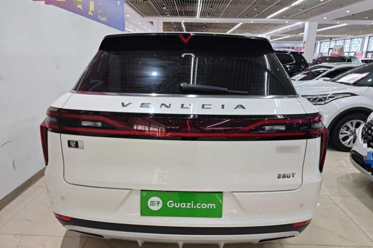 Used Venucia Star 2020 260T Automatic 48V Mild Hybrid Turbocharged Star Edition Exterior 4