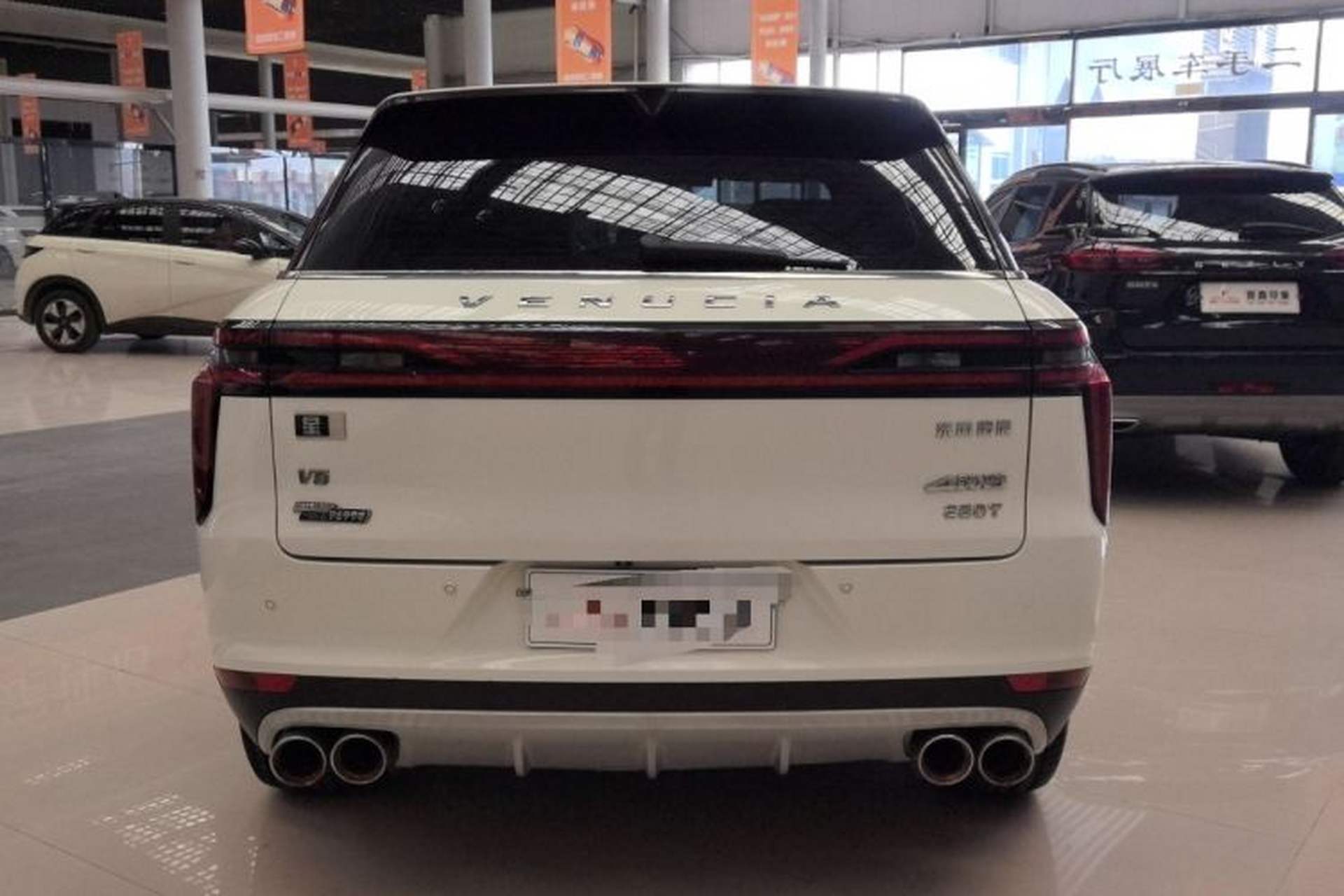 Used Venucia Star 2020 260T Automatic XingShang Edition Exterior 5