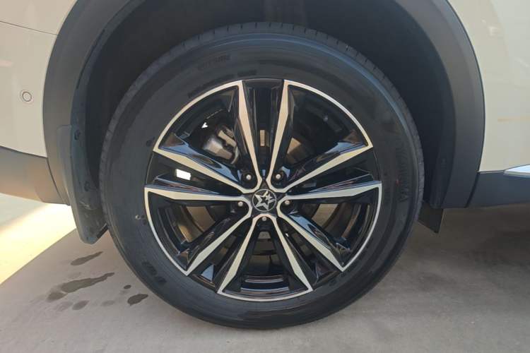 Used Venucia Star 2020 260T Automatic 48V Mild Hybrid Turbocharged Starry Edition Exterior 5