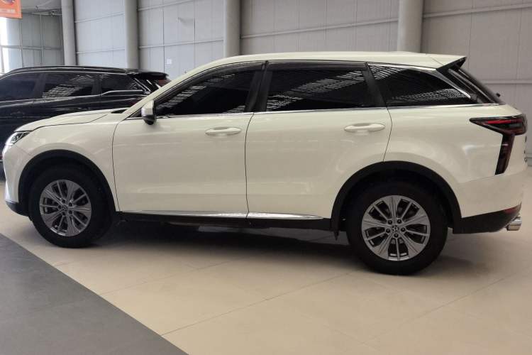 Used Venucia Star 2020 260T Automatic XingShang Edition Exterior 6