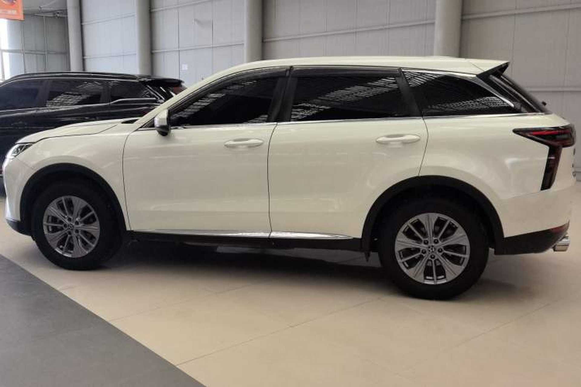 Used Venucia Star 2020 260T Automatic XingShang Edition Exterior 6