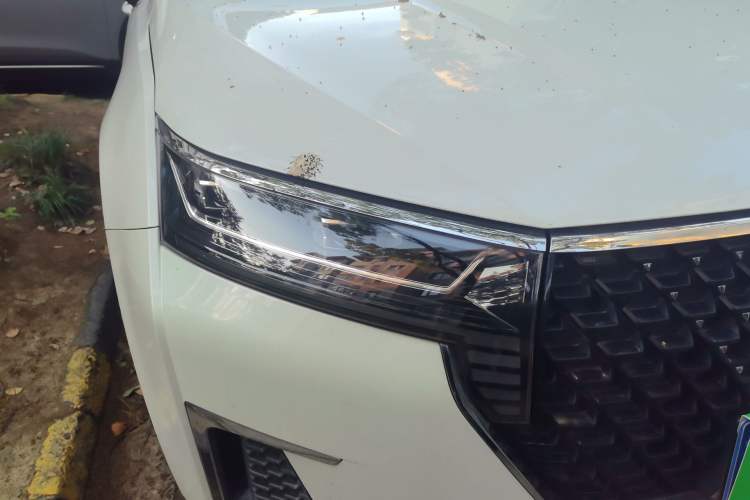 Used Venucia Star 2020 260T Automatic 48V Mild Hybrid Turbocharged Starry Edition Exterior 6