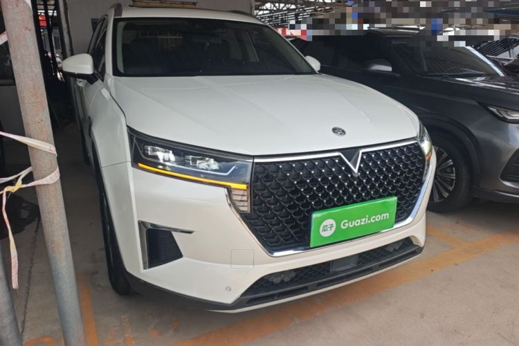 Used Venucia Star 2020 260T Automatic 48V Mild Hybrid Turbocharged Star Edition Front Right 45 Deg