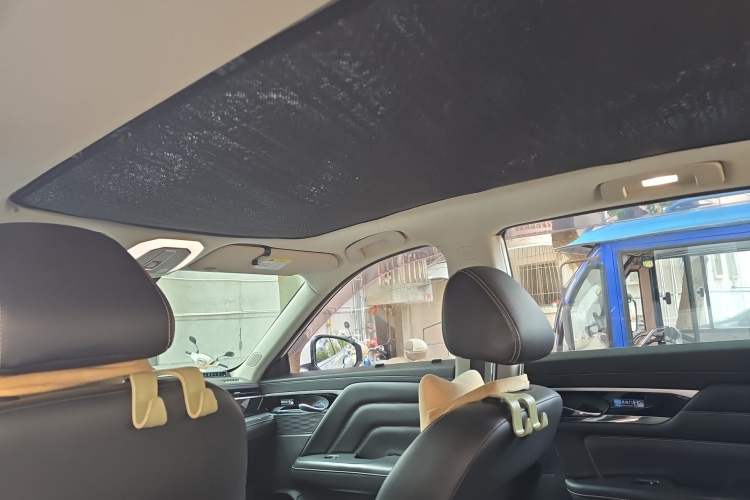 Used Venucia Star 2020 260T Automatic 48V Mild Hybrid Turbocharged Star Edition Headliner