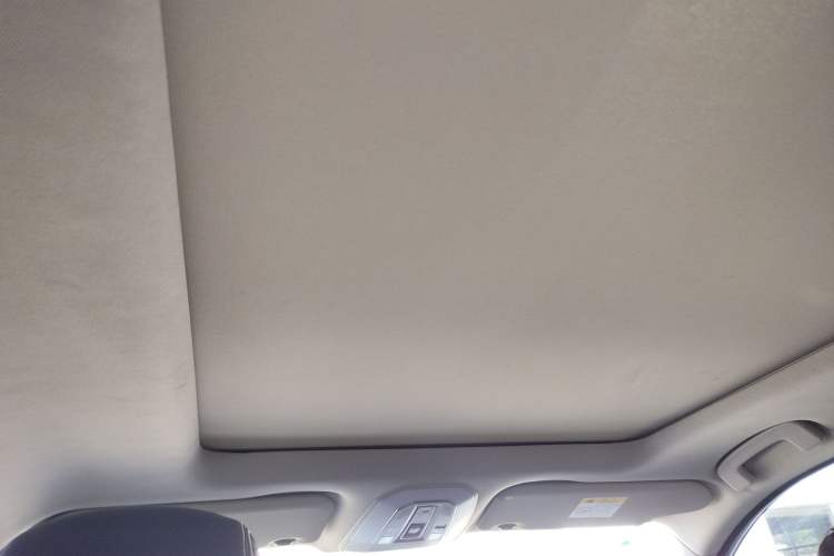Used Venucia Star 2020 260T Automatic XingShang Edition Headliner