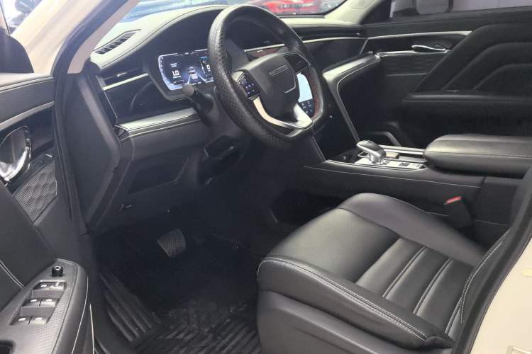 Used Venucia Star 2020 260T Automatic XingShang Edition Interior 1