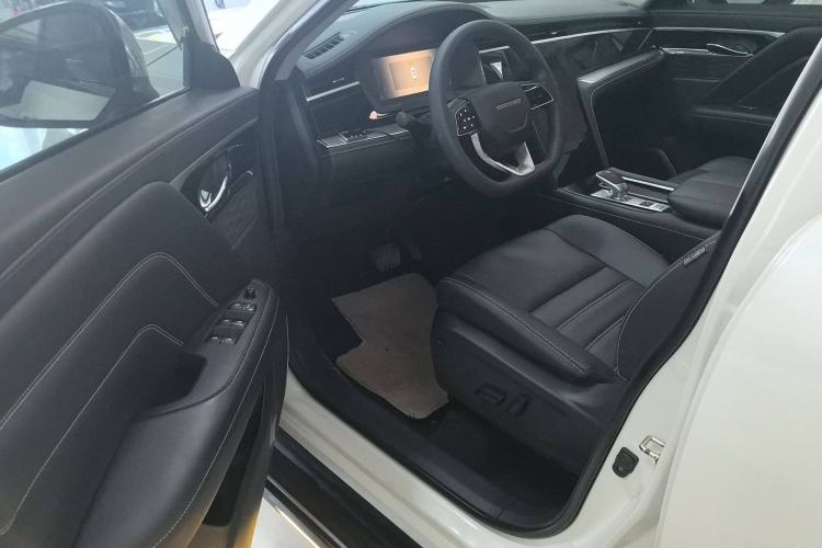 Used Venucia Star 2020 260T Automatic XingShang Edition Interior 2