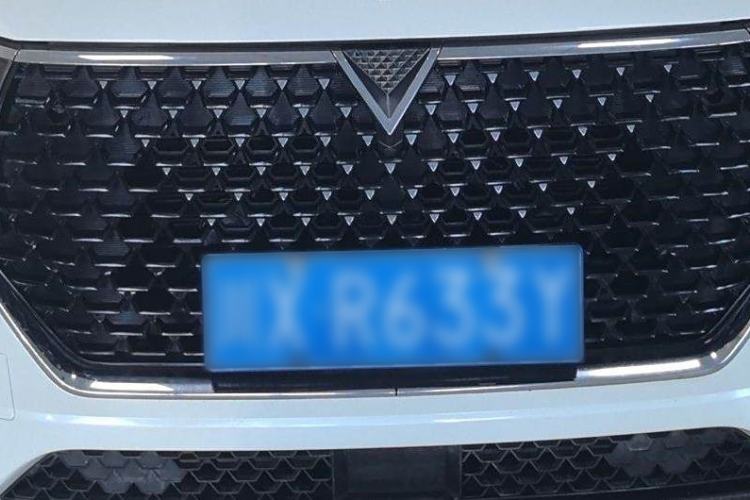 Used Venucia Star 2020 260T Automatic XingShang Edition Interior 4