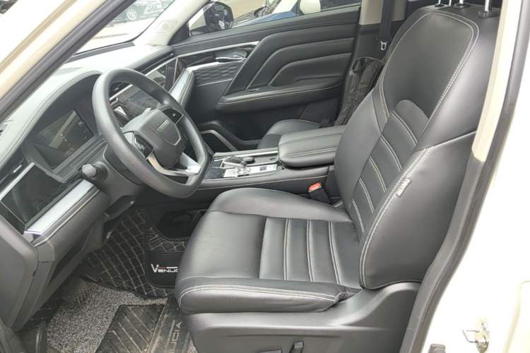 Used Venucia Star 2020 260T Automatic XingShang Edition Left Front Seat