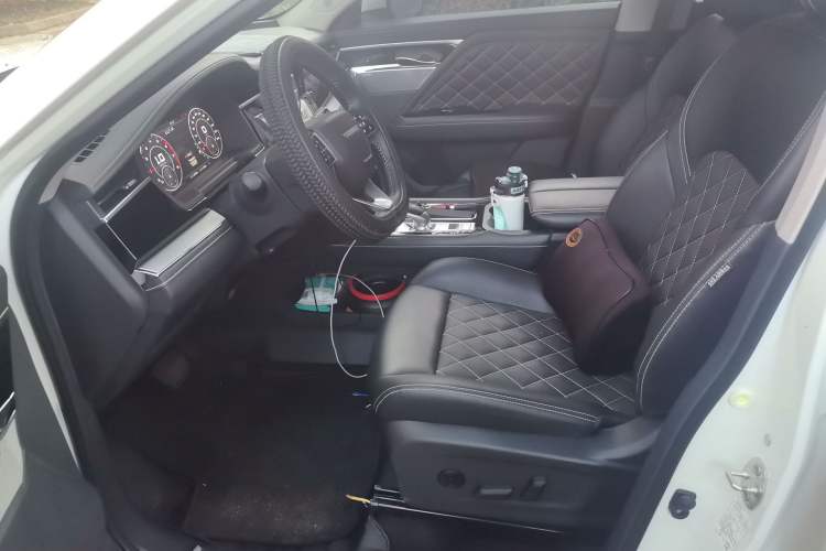 Used Venucia Star 2020 260T Automatic 48V Mild Hybrid Turbocharged Starry Edition Left Front Seat