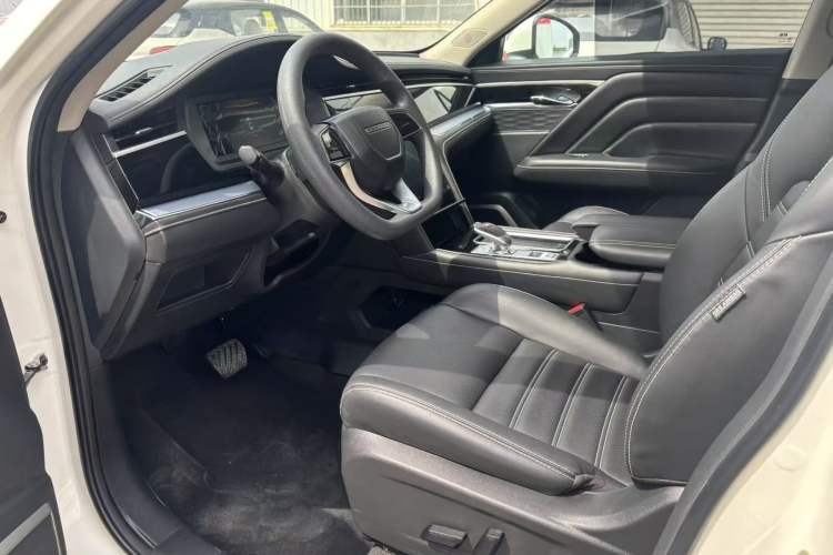 Used Venucia Star 2020 260T Automatic XingShang Edition Left Front Seat