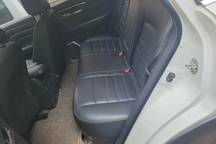 Used Venucia Star 2020 260T Automatic 48V Mild Hybrid Turbocharged Star Edition Left Rear Seat