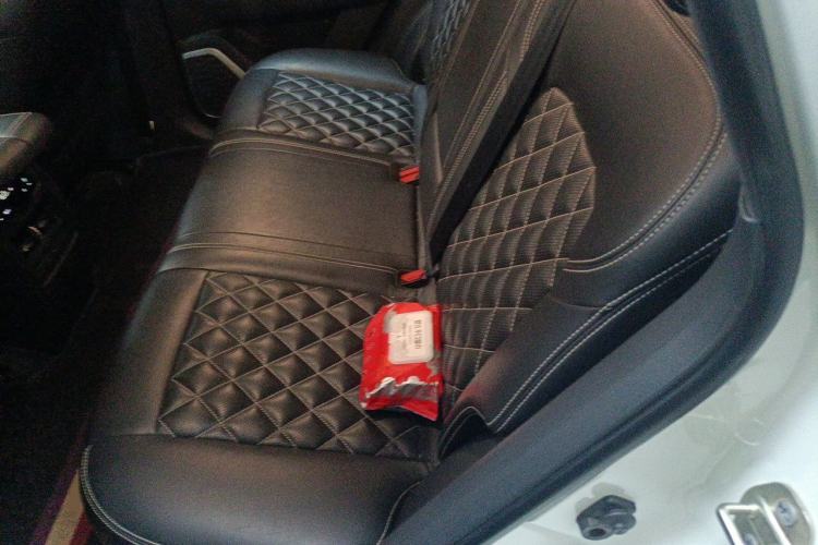 Used Venucia Star 2020 260T Automatic 48V Mild Hybrid Turbocharged Starry Edition Left Rear Seat