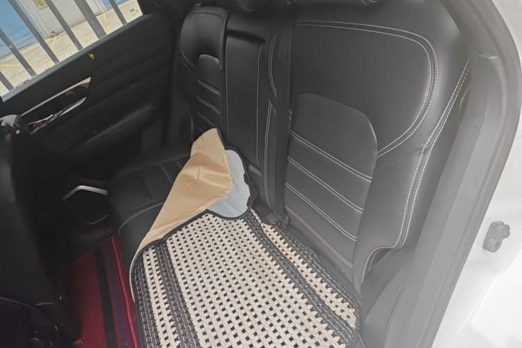 Used Venucia Star 2020 260T Automatic 48V Mild Hybrid Turbocharged Star Edition Left Rear Seat