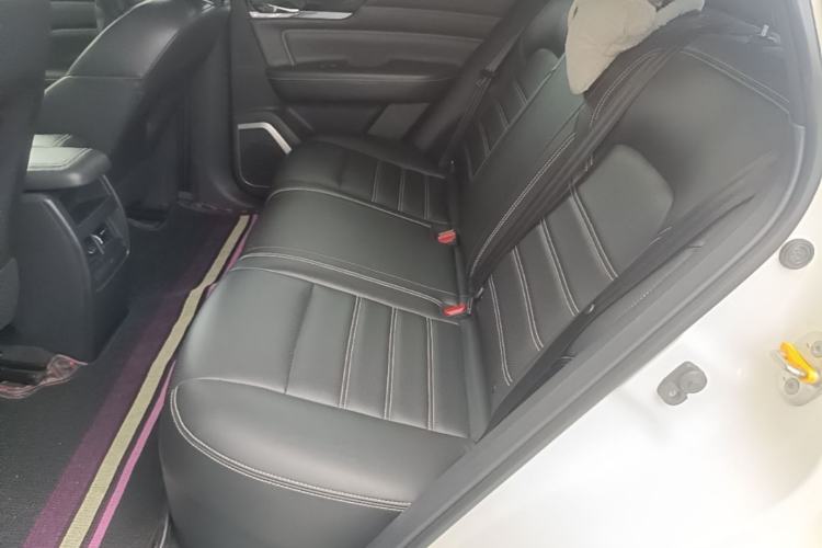 Used Venucia Star 2020 260T Automatic XingShang Edition Left Rear Seat