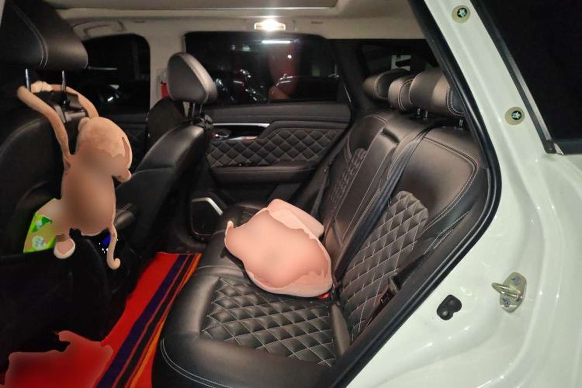 Used Venucia Star 2020 260T Automatic 48V Mild Hybrid Turbocharged Starry Edition Left Rear Seat