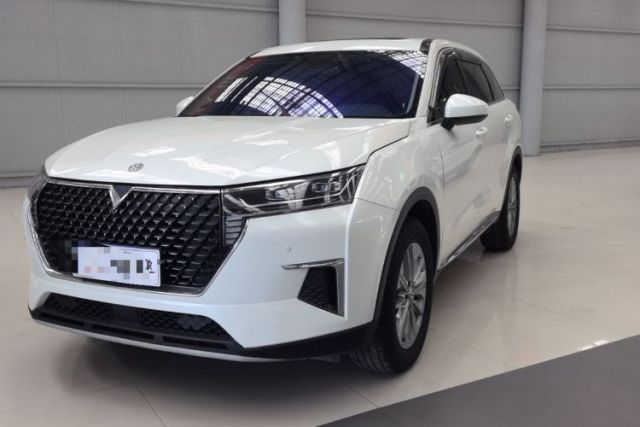 Used Venucia Star 2020 260T Automatic XingShang Edition