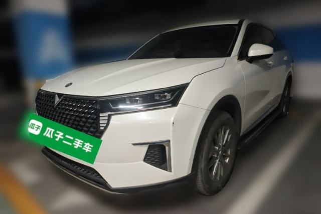 Used Venucia Star 2020 260T Automatic XingShang Edition