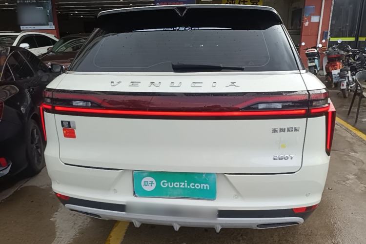 Used Venucia Star 2020 260T Automatic XingShang Edition Rear