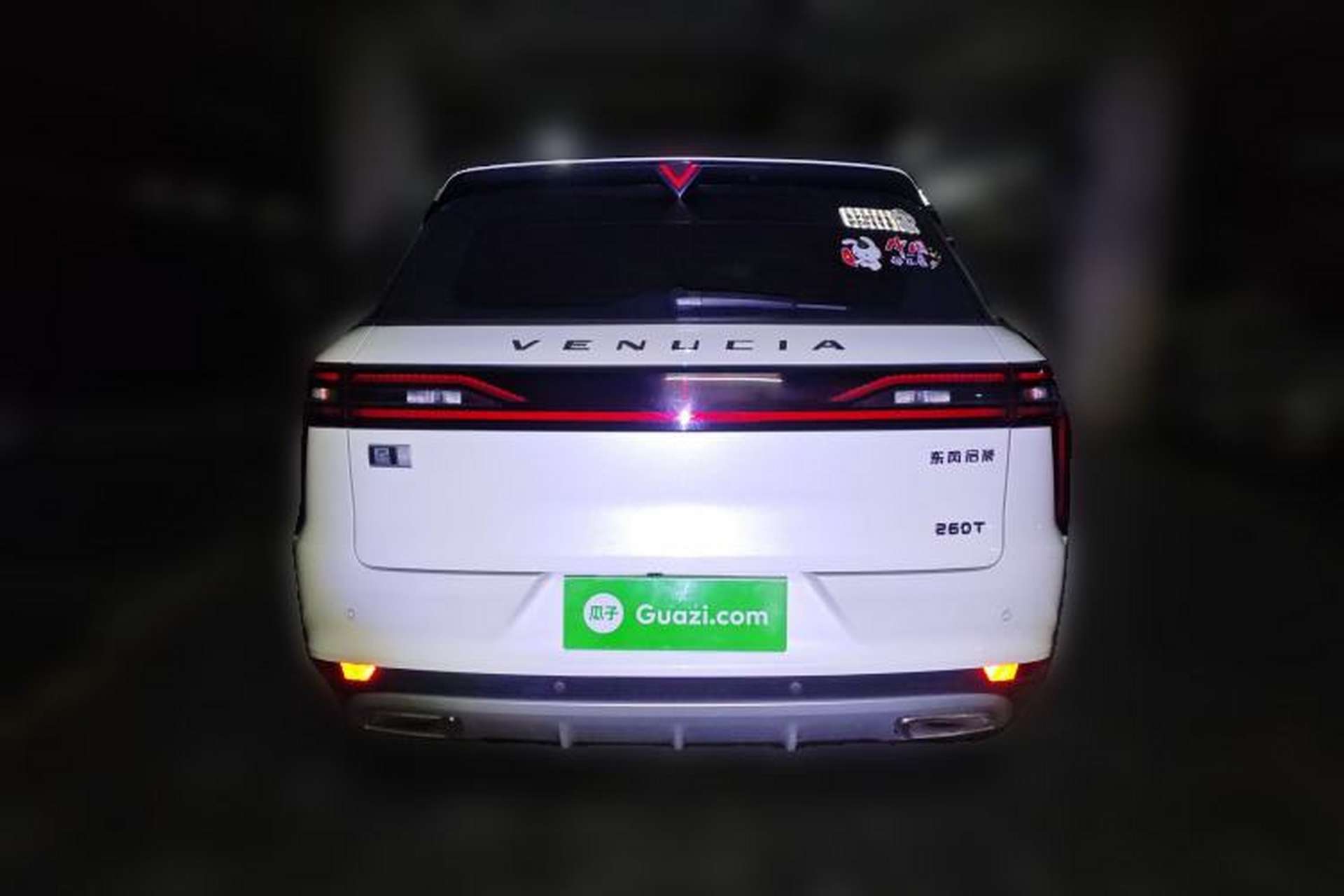 Used Venucia Star 2020 260T Automatic 48V Mild Hybrid Turbocharged Starry Edition Rear