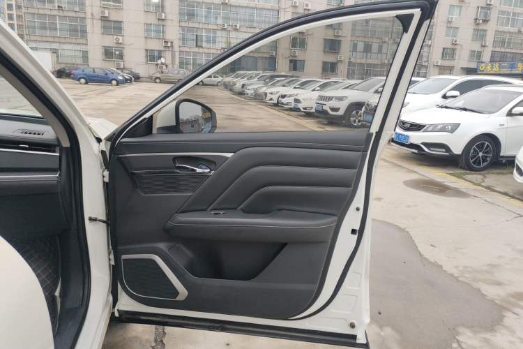 Used Venucia Star 2020 260T Automatic 48V Mild Hybrid Turbocharged Star Edition Right Front Door Interior