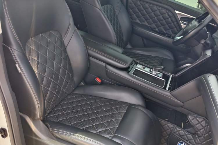 Used Venucia Star 2020 260T Automatic 48V Mild Hybrid Turbocharged Starry Edition Right Front Seat
